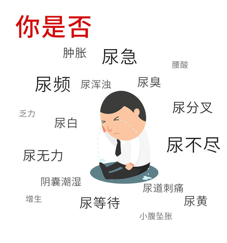 炎专用贴男性夜尿频多尿痛尿不尽轻重度郑三毛贴拍五加3实发8盒