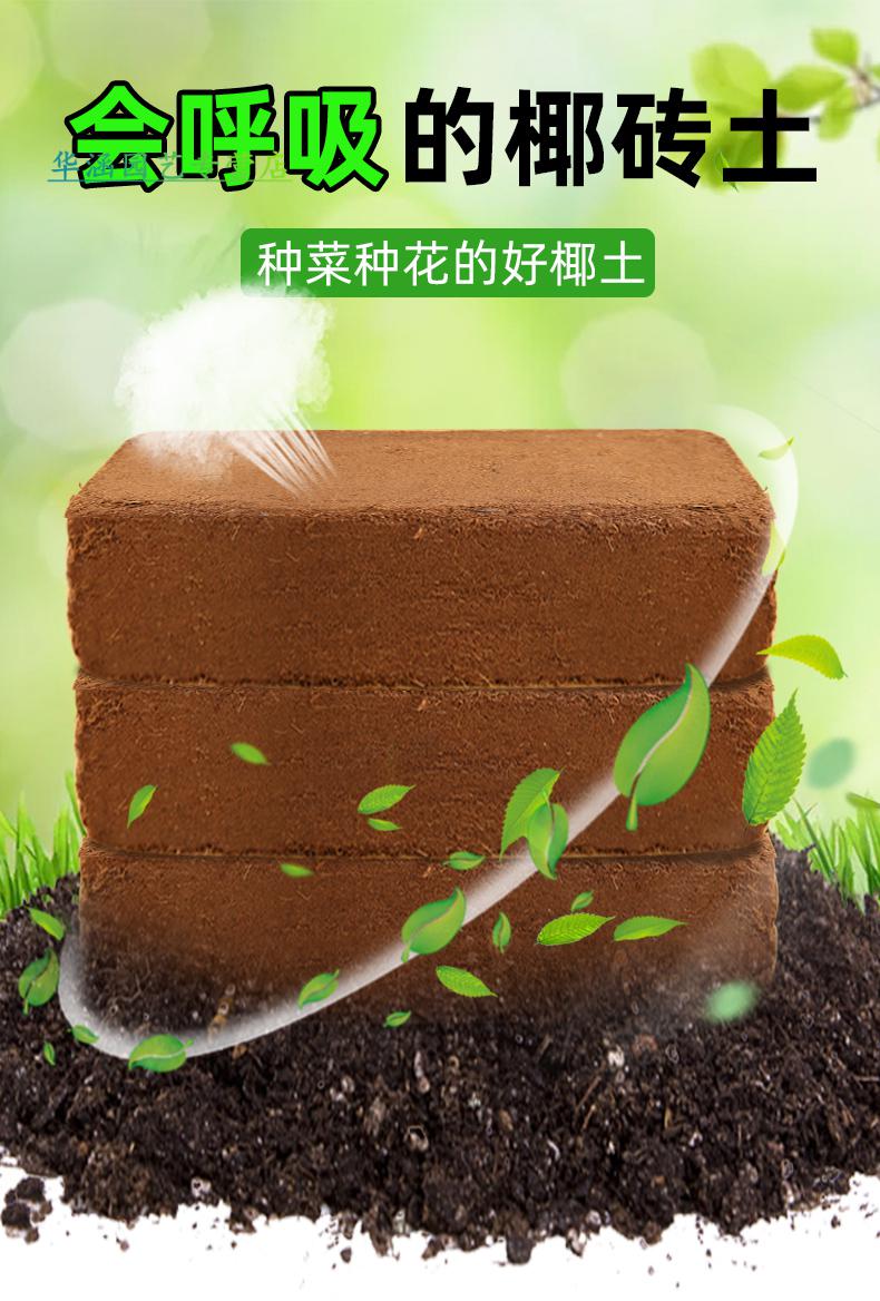 椰子砖土椰砖营养土通用型椰糠椰壳大块土壤种植养花种菜耶砖培养椰砖
