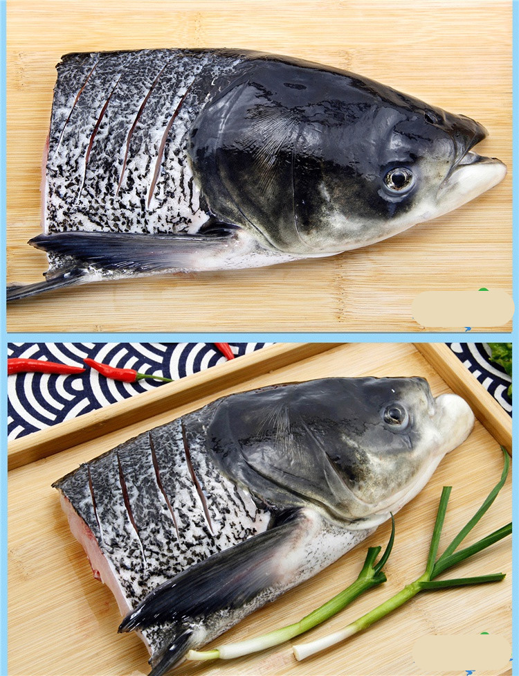 千岛湖大鱼头新鲜胖头鱼鳙鱼花鲢大头鱼包头鱼鲜活食用水产4斤鱼头一