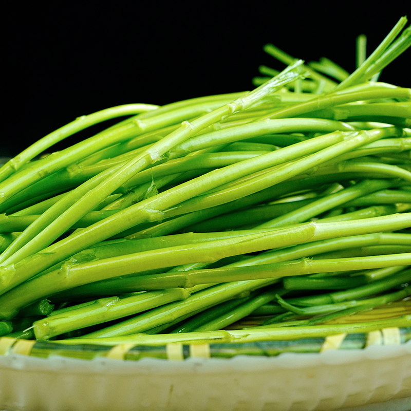 顺丰空运现摘藜蒿新鲜芦蒿野生洪湖泥蒿篱蒿湖北特产泥耗黎耗蔬菜