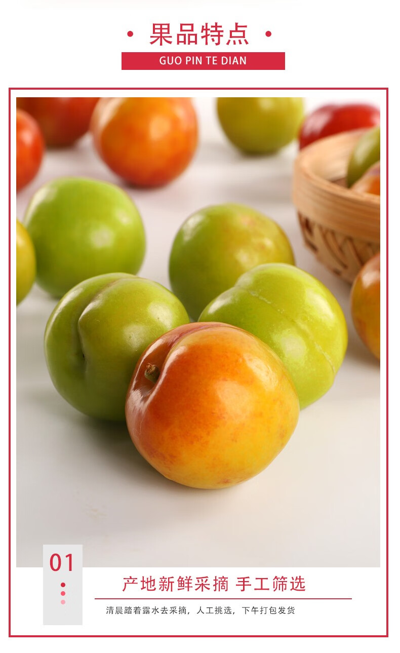 酸脆李三月李小李子当季新鲜孕妇水果青李子2斤尝鲜装