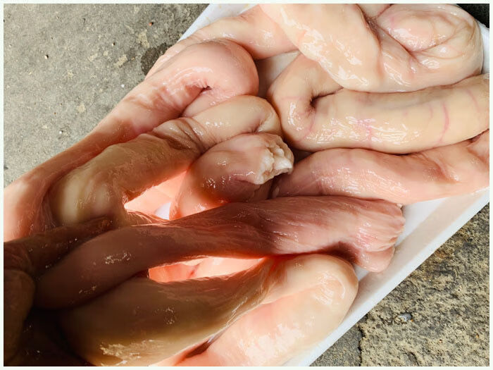 新鲜黄牛大肥肠新鲜牛肠子纯生牛肠子属于牛杂下货下水1斤装