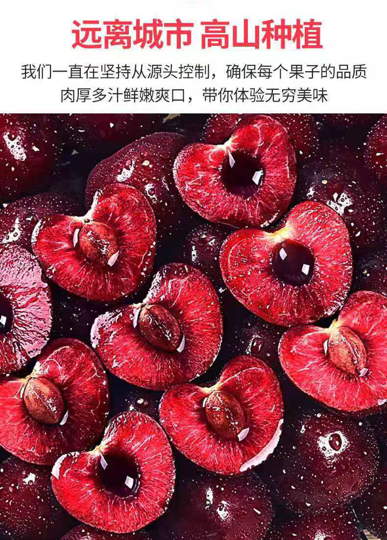 现摘四川汉源车厘子新鲜孕妇水果五2/3/5/整箱当季大樱桃 1000g 3j