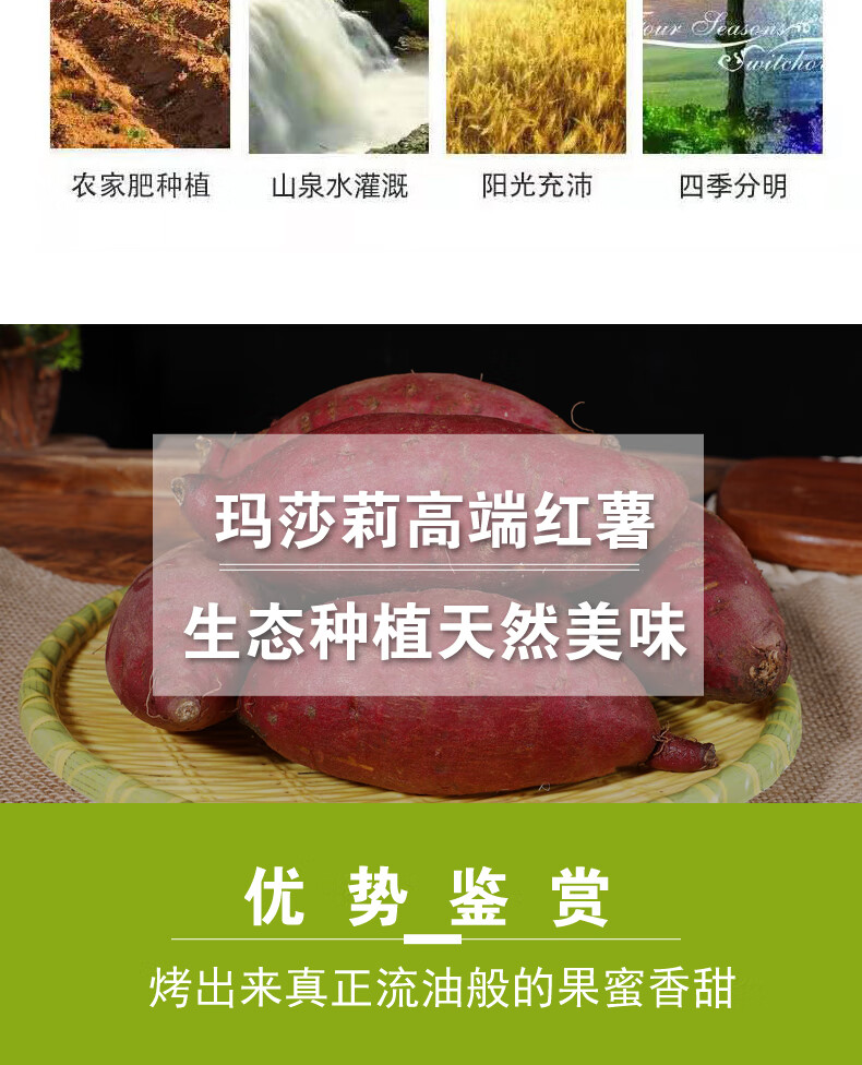 媚调玛莎莉红薯【现摘现发】新鲜蜜薯康平糖心黄金甜香甜日本品种奶油