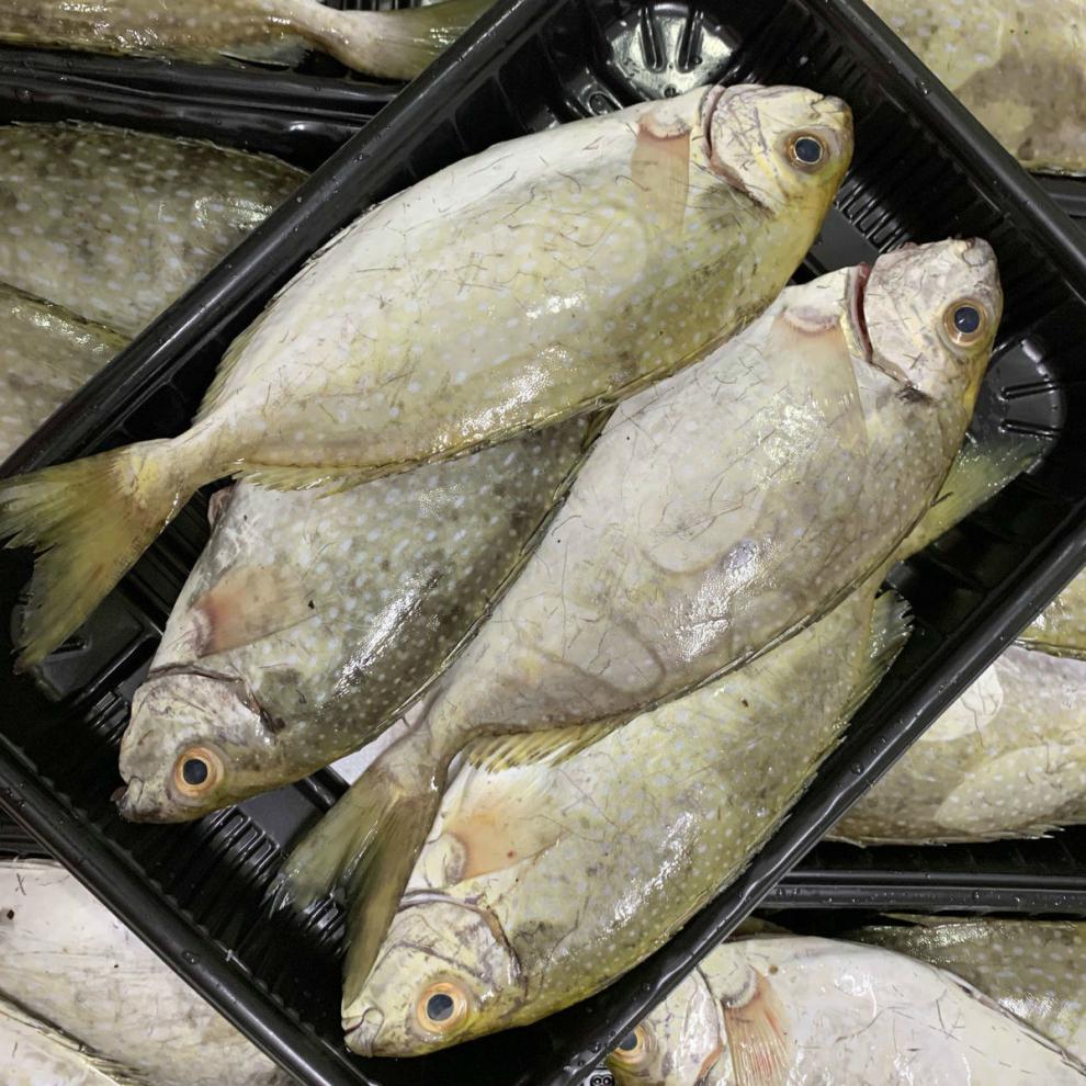 泥萌鱼泥猛鱼新鲜海捕南海秋叶鱼海鲜冷冻篮子鱼深海艾娘鱼水产 3斤装