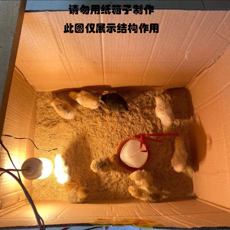 小鸡保温箱自动控温鹌鹑保温箱小鸟宠物育雏保温自动加热育雏设备