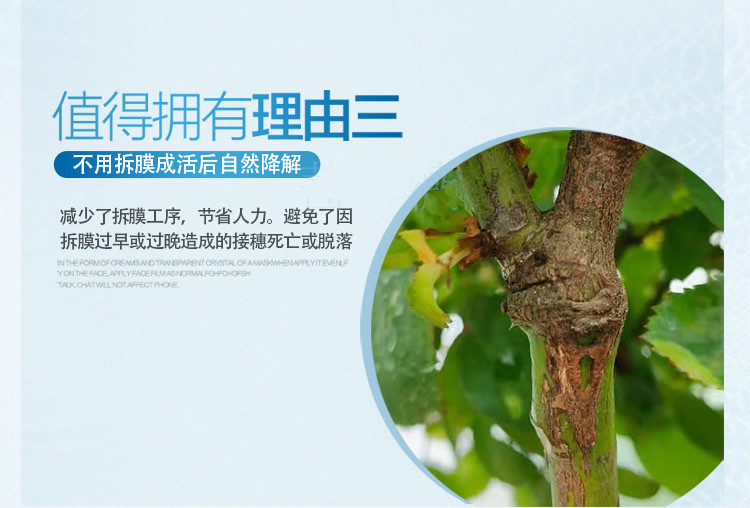 糯米纸嫁接膜接树专用自粘果树苗月季免拆可降解缠绕绑带享动5米25