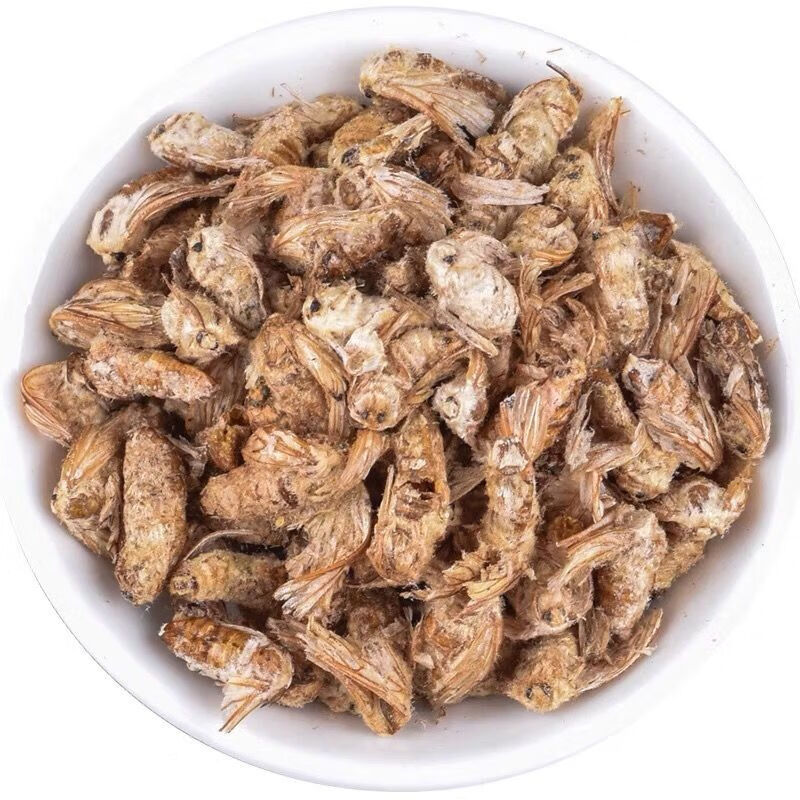 雄蚕蛾东北柞蚕公蛾酒公蛾未交尾中材雄蛾滋补养生打粉 500g未交尾雄