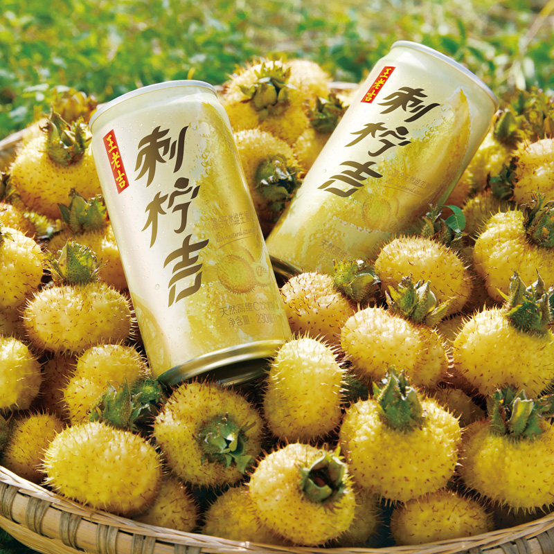 刺柠吉果汁 230ml*12罐装刺柠吉 整箱礼盒天然维c果汁饮品刺梨汁饮料
