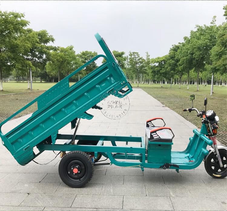 电动三轮车载重王拉货成人拉货三轮车快递车新款家用电瓶车农用车20x