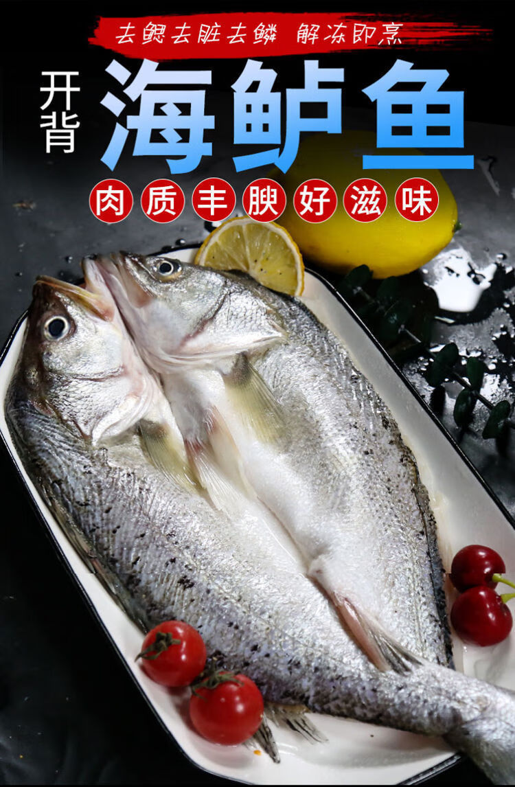 鲈鱼新鲜开背海鲈鱼深海海捕去鳃去内脏速冻海鲜普米加罗鲈鱼每条
