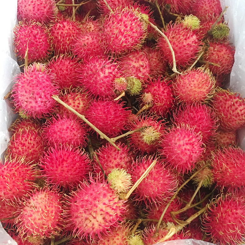 泰国越南进口红毛丹2斤毛荔枝新鲜毛丹稀有热带水果毛丹果胜海南