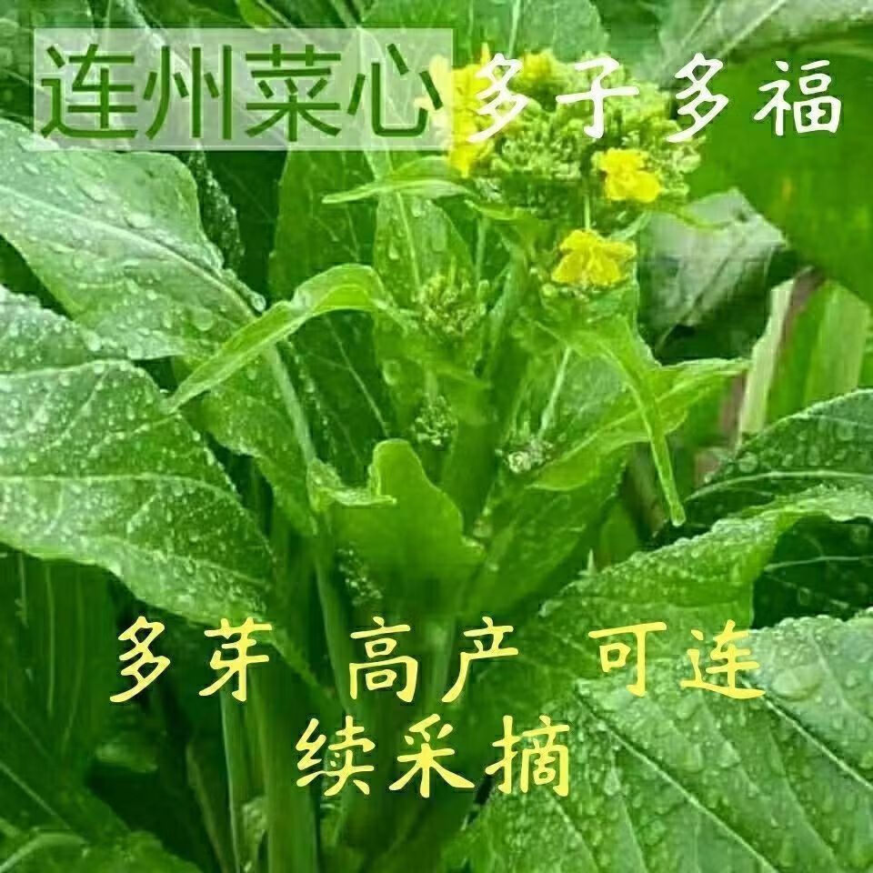 b0753524db4868b5.jpg