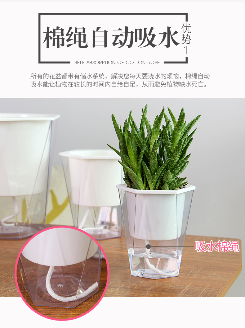 乐诗曼全透明新款懒人自吸水花盆创意绿萝花盆水位可视免浇灌花盆 5个