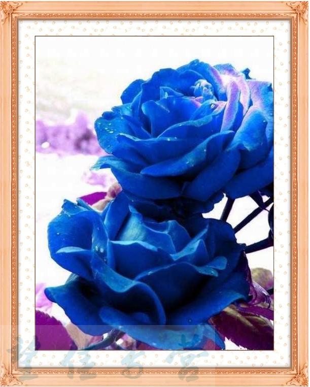 5d精准印布蓝色妖姬十字绣红色妖姬玫瑰花蓝色妖姬钟表客厅左下蓝色