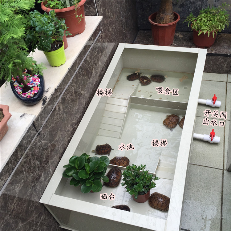 龟池养龟苗小龟龟碌带晒台喂食区龟池龟箱南石龟草龟巴西龟池 黑色