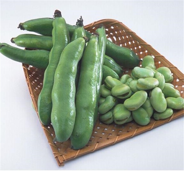 花络阁 五谷杂粮种子罗汉豆味道好