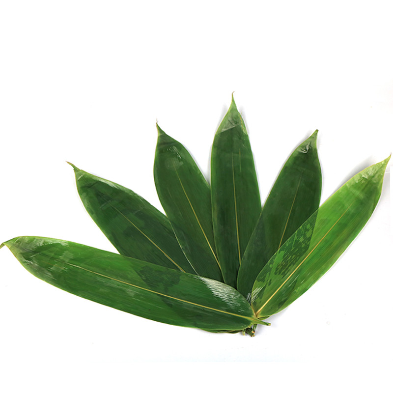 大菜园 粽子叶 100片粽叶 箬叶大粽叶廖叶 新鲜 大片 山农