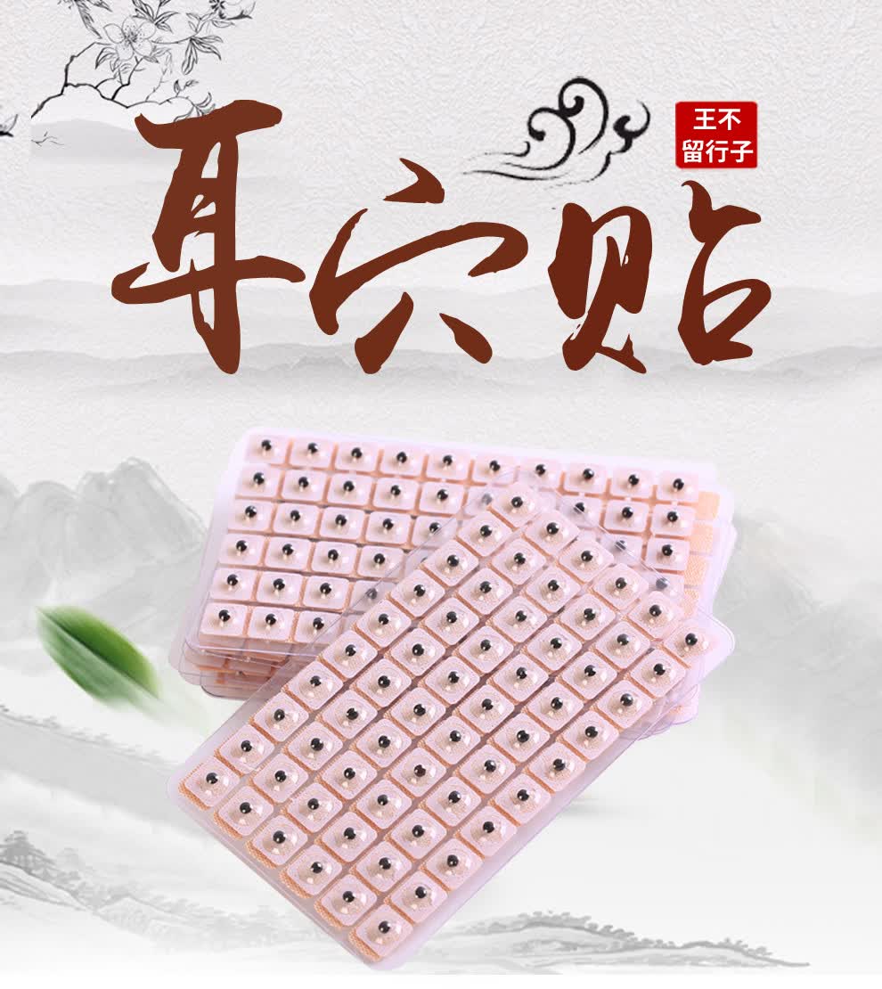 子彧(ziyu)耳穴贴王不留行籽耳穴压豆贴耳贴耳穴贴耳豆穴位模型王不留