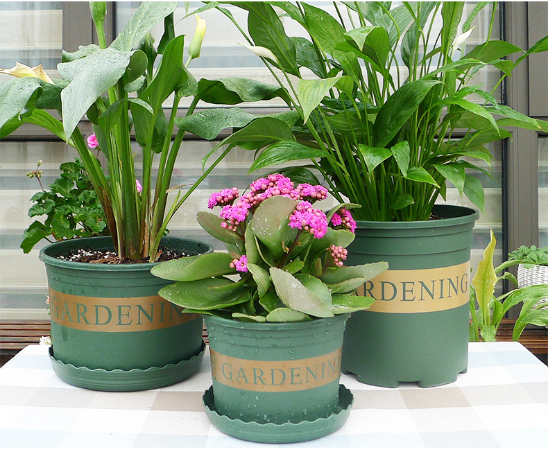 乾林轩(qianlinxuan) 老花农 园艺加仑盆 1/2/3加仑圆形塑料花盆家用