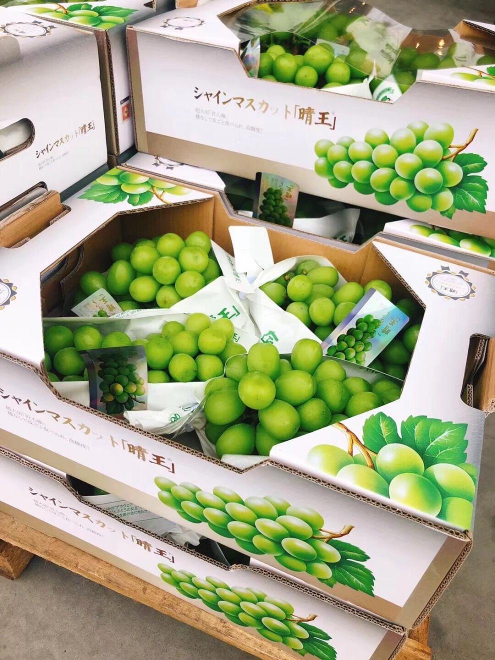 晴王品种阳光玫瑰葡萄香印青提新鲜水果提子青提子4斤整箱