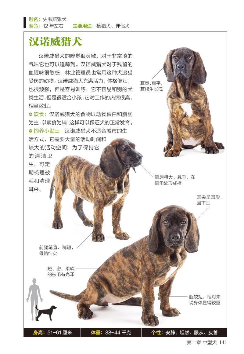 名犬圖鑑167種人氣寵物犬的特徵習性圖鑑珍藏叢書動物圖鑑書籍時尚