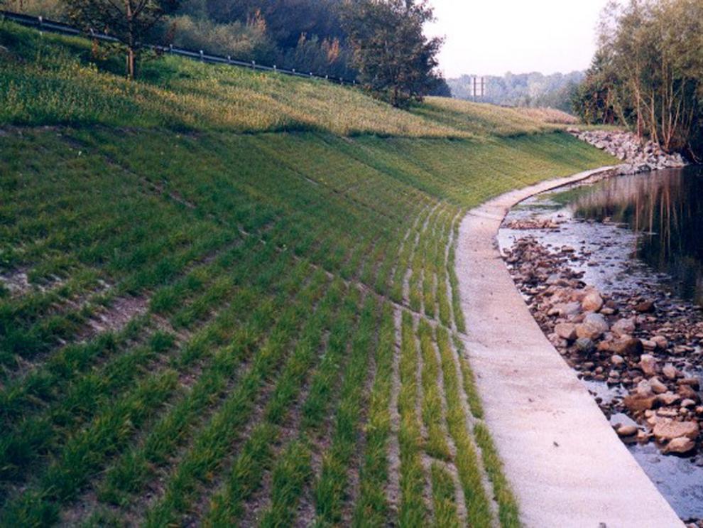 苏北老农护坡草坪种子四季常青 进口草籽 护坡王 耐热抗旱护坡包邮 包