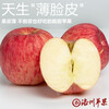 Luochuan Apple, Shaanxi Yan'an specialty Red Fuji seasonal apple fruit gift box, fresh apples, fresh, crispy and sweet, whole box wholesale, net weight 8.5 catties, 70-75mm color box, hot sale