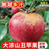 Jingmi Sichuan Daliangshan Ugly Apple 4.5kg, single fruit 80mm + fresh fruit apple, straight from the source