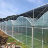Nongyumeng greenhouse film agricultural white plastic sheet thickened thermal insulation waterproof anti-aging transparent non-drip film customized