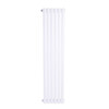 Qilicai radiator household water heating radiator steel two-column central heating steel wall-mounted natural gas vertical radiator 600mm vertical total height 1.8 meters 10 columns wide