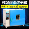 Shaoyi oven laboratory electric heating constant temperature blast drying oven industrial oven vacuum incubator herbal medicine high temperature oven 101-2 galvanized 45*55*55