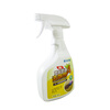 Carpet stain remover A