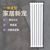 Casaro radiator steel radiator household radiator wall-mounted self-heating central heating 60 wide 1.2m spot spot 1.2m 3 columns