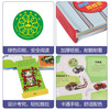 Fun and cool pop-up book Car Kingdom Humanities popular science book for children aged 3-6 (a car book that makes children fall in love with it at first glance)