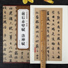 Chibi Fu before and after Zhao Mengfu, Luo Shen Fu, Yuan Dynasty, the essence of stele inscriptions, Zhao style running script calligraphy brush practice calligraphy, original inscriptions with simplified Chinese marginalia, Anhui Fine Arts Publishing House