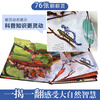 18 yuan off for orders over 87. Insects Revealed (popular science flip book for children aged 5-10) Le Fun Children's Book Revealing Series children's popular science pop-up books Insects Children's Book Festival Children's Day