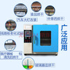Shaoyi oven laboratory electric heating constant temperature blast drying oven industrial oven vacuum incubator herbal medicine high temperature oven 101-2 galvanized 45*55*55