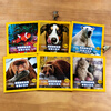 National Geographic Wisdom Encyclopedia Chinese and English bilingual books (with audio) (set of 6 volumes in total)