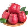 Jingxiansheng Tianshui Huaniu Apple 2kg, single fruit 170g+, fresh fruit straight from the source
