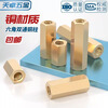 Tianzhuo Hardware M2M2.5M3M4M5M6 double-way hexagonal copper column isolation column nut column hollow chassis motherboard computer board stud M3*10 20 pieces