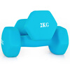 Chengyue color dipped dumbbells for men and women home fitness shaping equipment combination set 2kg*2 tranquil blue CY-130