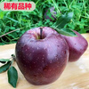 Zhu's Orange, SF, Black Card Apple, Zhaotong Black Diamond Apple, Fresh Black Apple, Seasonal Fruit New Year's Gift Box, 4kg Family Pack of Large Fruit, About 9-11 pcs