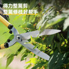 Deli garden scissors, manual pruning shears, hedge shears, hedge shears, whole hedge shears, lawn and fruit tree shears, thick branches and flowers