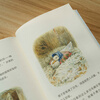The Story of Peter Rabbit (Chinese graded reading K1, suitable for 6-7 years old, free to listen to with the guidance of a native-speaking teacher, full-color illustrations)