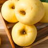Joy Tree Shandong Golden Venus Apple Freckled Apple 3kg 8-10 pieces gift box fresh fruit