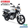 Yamaha Yamaha motorcycle Tianjian 150Z street car straddle bike EFI National IV sports car racing rider car YAMAHA Tianjian 150Z/front disc rear drum/Haoyue Gray