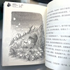 Yang Hongying's Diary of the Laughing Cat The Cat on the Top of the Tower (Volume 2) (7-12 years old) Children's Literature Fairy Tales for Primary 1, 2 and 3 Grades, Outstanding Publication Award, International Andersen Award Nomination Award