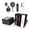 SE2200 large diaphragm condenser microphone live broadcast karaoke studio-level microphone dubbing recording audiobook equipment computer sound card microphone complete set sE2200 official standard + microphone cable + desktop stand