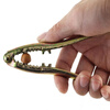 Wilkie hazelnut clip artifact clip pine nut opener clip hazelnut special pliers nut shell opener walnut pine nut clip dried fruit clip 1
